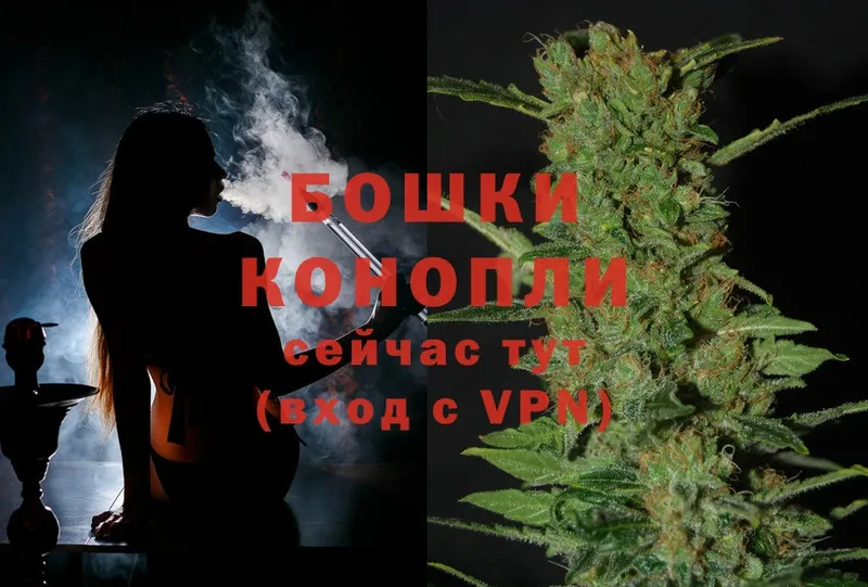 купить наркотики цена  Ардон  Шишки марихуана OG Kush 